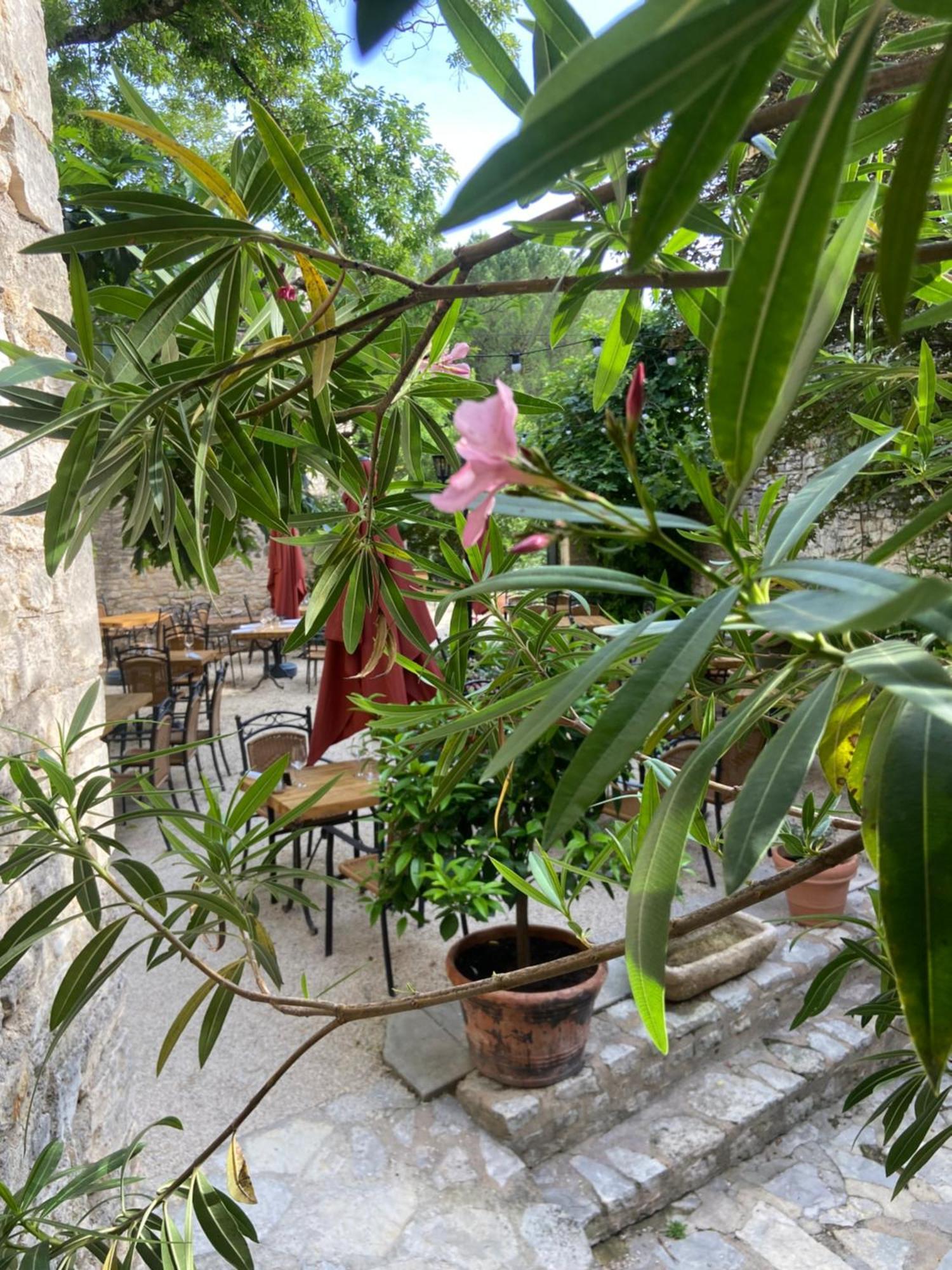 Hotel Restaurant Clos Des Sullys Montclus  Ngoại thất bức ảnh